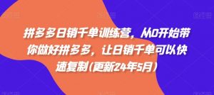 拼多多日销千单训练营，从0开始带你做好拼多多，让日销千单可以快速复制(更新25年6月)-第一资源库