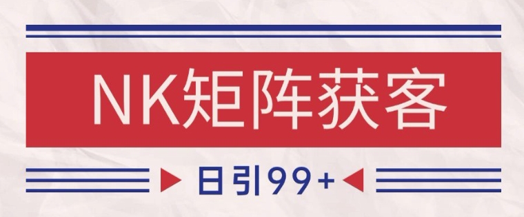 小红书某音NK赛道引流获客 自热矩阵日引200+【揭秘】-第一资源库