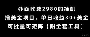 外面收费2980的挂G撸美金项目,单日收益30+美金,可批量可矩阵【揭秘】-第一资源库