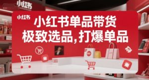 小红书单品带货,极致选品,打爆单品-第一资源库