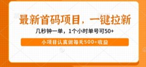 最新首码项目,操作最简单,收益高,一键拉新,1个小时单号可50+,小项目认真做每天5张+收益【揭秘】-第一资源库