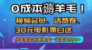 0成本薅羊毛!视频会员、话费卷、30元电影票白送,分享我如何靠转卖一天变现5张+【揭秘】-第一资源库