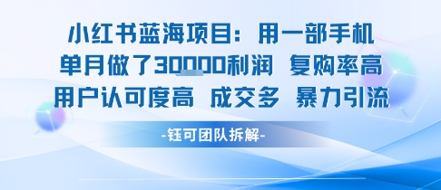 小红书蓝海项目,一部手机单月做了3W利润,小白也能月入过1W用户认可度高成交多-第一资源库