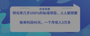 转化率最高的私域项目,每单利润40-50米,月入过1w-第一资源库