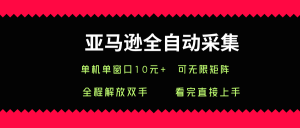 亚马逊全自动采集，单机单窗口一天10+，可无限矩阵去做【揭秘】-第一资源库