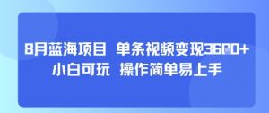8月AI蓝海项目，单条视频变现1k+ 小白可玩 操作简单易上手-第一资源库