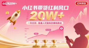 一年时间靠小红书带货项目年入20w+，最不能错的大红利项目-第一资源库