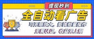 全自动看广告项目,可无限放大,可矩阵批量操作-第一资源库