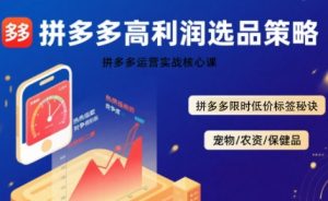 拼多多选品暴利技术实战课,拼多多高利润选品策略,拼多多限时低价标签秘诀-第一资源库