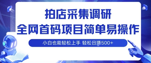 拍店采集调研,全网首码项目,简单易操作, 小白也能轻松上手,多账号操作,轻松日入5张【揭秘】-第一资源库