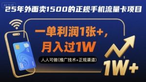 25年外面卖1500的正规手机流量卡项目,一单利润1张+,月入过1W,人人可做(推广技术+正规渠道)【揭秘】-第一资源库