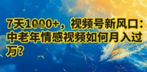 7天收益1k+，视频号新风口：中老年情感视频如何月入过W?-第一资源库