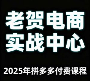 老贺电商2025年拼多多付费课程,用通俗易懂的方法告诉你多多怎么玩-第一资源库