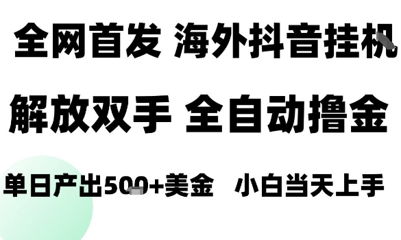 海外抖音无人直播,单日产出1.5k+,长期稳定,新手可玩,无脑操作【揭秘】-第一资源库
