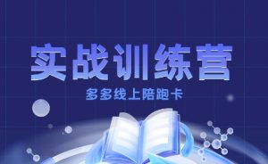多多实战训练营,从0到1打造一个真正賺钱的店铺-第一资源库
