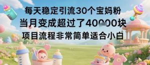 每天稳定引流30个宝妈粉当月变成超过了1W+项目流程非常简单适合小白-第一资源库