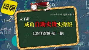 麦子甜咸鱼自助卖货实操版(虚拟资源)一个会自动搞钱的机器-第一资源库