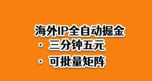 海外ip全自动掘金，2025必做蓝海项目，3分钟落地，矩阵直接开干【揭秘】-第一资源库