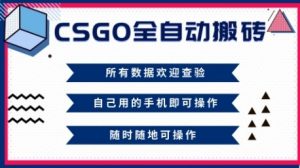 CSGO全自动搬砖,年底钱回家好项目,当天可拿到结果,新手小白轻松月入1W+【揭秘】-第一资源库