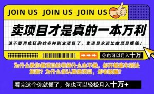 知识付费,你离月入10W只差一个开始!26年给自己一个机会,挖金子不如买铲子【揭秘】-第一资源库