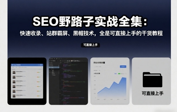 SEO野路子实战全集：快速收录、站群霸屏、黑帽技术，全是可直接上手的干货教程-第一资源库