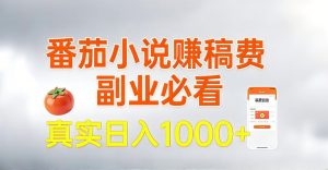 全网独家,番茄小说賺稿费邪修玩法,操作超级简单,单日收益1k+【揭秘】-第一资源库