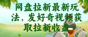 网盘拉新最新玩法，发好奇视频获取拉新收益，抖音收藏家玩法-第一资源库