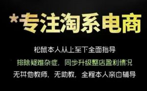 松鼠会电商VIP课程,从基础布局到高阶优化,助你掌握淘宝运营逻辑,提升店铺流量与转化-第一资源库
