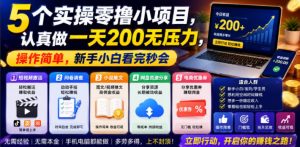 5个实操零撸小项目，认真做一天200无压力，操作简单，新手小白看完秒会【揭秘】-第一资源库