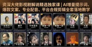 资深大佬影视剧解说精选独家课|AI增量提示词、爆款文案、专业配音、平台合规剪辑全套落地教学-第一资源库