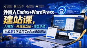 外贸人Codex+WordPress建站课,AI建站·外贸独立站·询盘承接,从0到1学会用Codex辅助建站-第一资源库