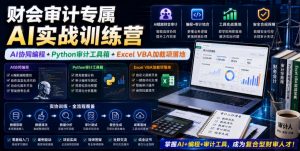 财会审计专属AI实战训练营|AI协同编程+Python审计工具箱+Excel VBA加载项落地(更新0710)-第一资源库