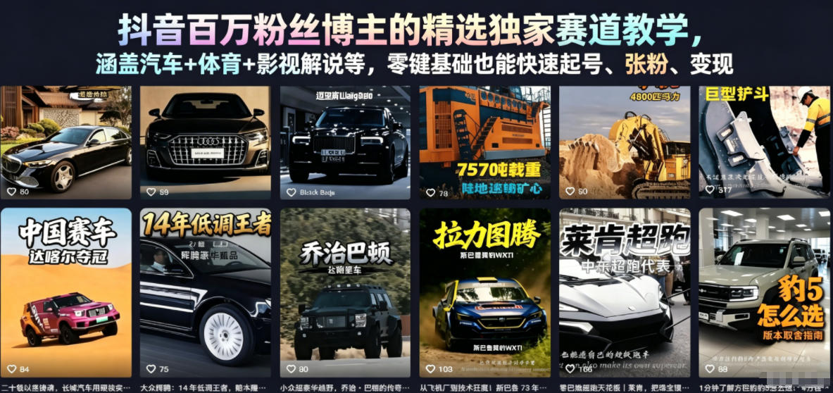 抖音百万粉丝博主的精选独家赛道教学，涵盖汽车+体育+影视解说等，零基础也能快速起号、涨粉、变现（更新0701）-第一资源库