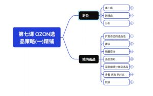 2026最新OZON全流程运营实操跨境电商平台教程,OZON全流程一站式系统学习必修课,从开店到跟卖到精铺-第一资源库