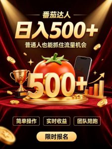 番茄达人日入500+?普通人也能参与?做番茄达人真的可行?零门槛番茄推文,新手也能上手做达人【揭秘】-第一资源库