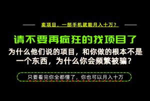 为什么做项目的人大多都是炮灰?为什么只有卖项目才能稳?看完你也可以月入10W+【揭秘】-第一资源库