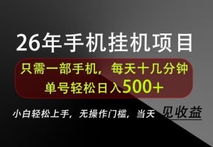 长期稳定可做,只需一部手机!单号轻松日入500+,不搞套路,只讲干货!【揭秘】-第一资源库