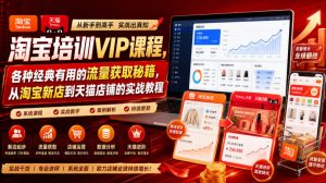 淘宝培训VIP课程，各种经典有用的流量获取秘籍，从淘宝新店到天猫店铺的实战教程（更新08月20日）-第一资源库