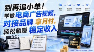 别再追小单!学做电商广告视频,对接品牌拿月付,轻松躺賺稳定收入【原创双语字幕】-第一资源库