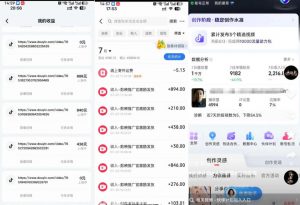 外面卖299的爆款二创配音情感语录教学,一个作品20分钟左右,伙伴计划+剪映拉新+收徒等多种收益-第一资源库