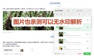 太香了!这款千问视频/图片去水印神器,一键搞定烦人水印,本地完全免费,浏览器拓展插件-第一资源库