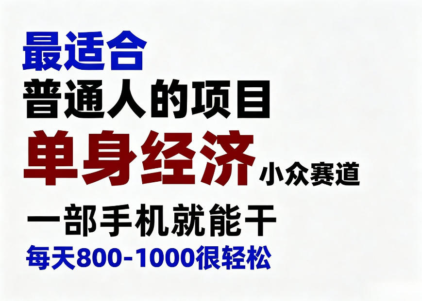 身经济小众赛道，一部手机就能干，每天搞个800-1000很轻松，最适合普通人的项目【揭秘】