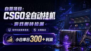 自营项目：CSGO全自动挂G，游戏搬砖捡漏，软件科技简单易用，长期稳定，小白单日300+利润【揭秘】-第一资源库