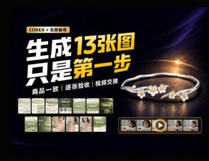 一张商品图,跑出13张电商图和15秒视频方案:这套Skill到底怎么工作?-第一资源库