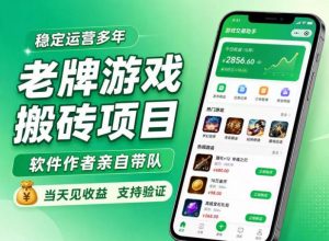 老牌游戏搬砖项目,超稳定可靠,软件作者亲自带队,当天见收益,支持验证【揭秘】-第一资源库
