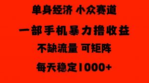 26年暴力单身经济,稳定日入500-1k,不缺流量,流量极大,冷门小众赛道,门槛低小白轻松上手【揭秘】-第一资源库