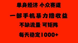 26年暴力单身经济,稳定日入500-1k,不缺流量,流量极大,冷门小众赛道,门槛低小白轻松上手【揭秘】-第一资源库