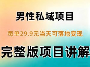 男性私域项目每单29.9，当天就能落地变现【不是S粉项目】详细拆解-第一资源库