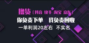抖音淘宝快手买手项目，一单利润20左右，单号每天下三单，可矩阵【揭秘】-第一资源库