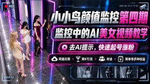 小小鸟颜值监控第四期，监控中的AI美女视频教学，去AI提示，快速起号涨粉，网盘拉新+商K引流+收徒+商单等多种收益-第一资源库